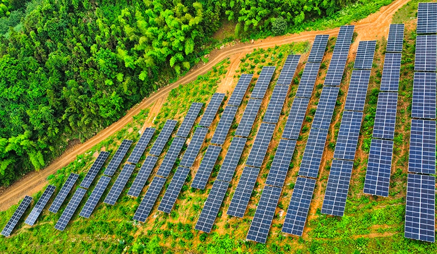 120MWp Agricultural-Photovoltaic Hybrid Power Station Project