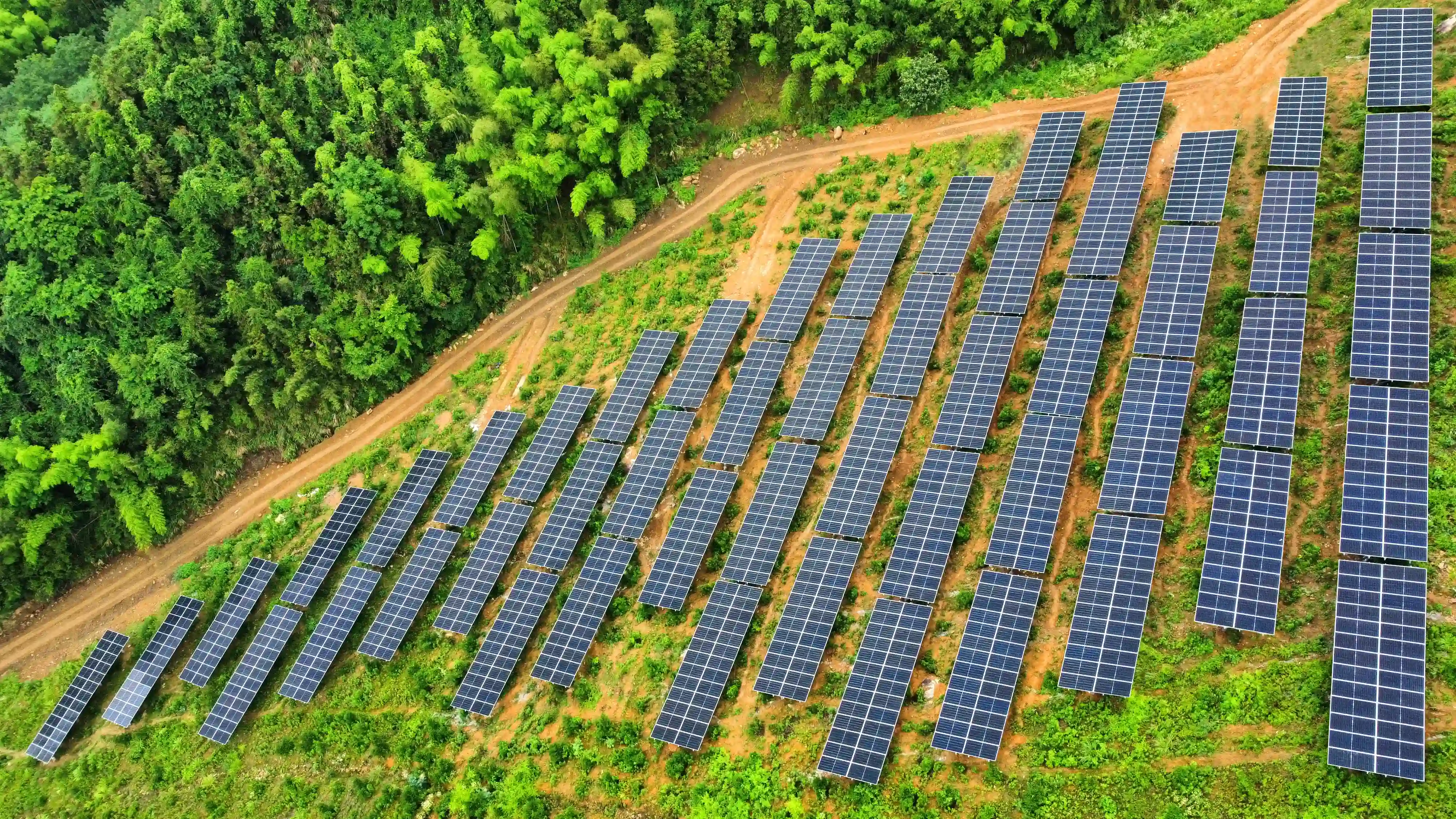 SolaX Case Study: Agrivoltaic Project in Hangzhou.webp